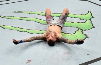 UFC Fight Night: Alvarez v Poirier 2